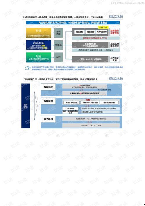 国产16页,揭秘我国创新科技发展新篇章